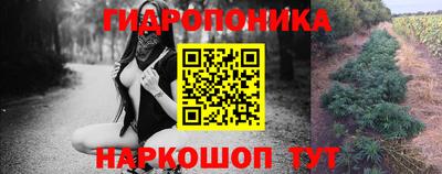 дмт Волгодонск